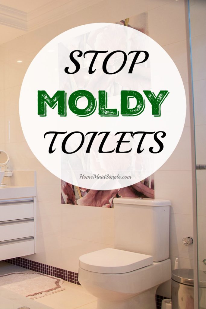 how-to-clean-a-moldy-toilet-brush-storables