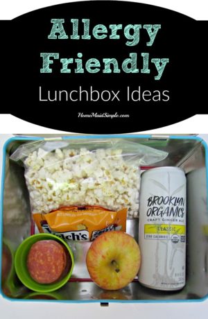 Allergy Friendly Lunchbox Ideas | Home Maid Simple