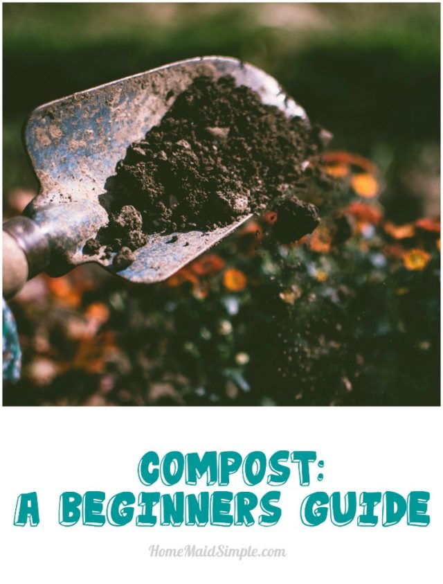 Compost: A Beginners Guide | Home Maid Simple